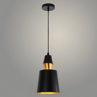 Подвес 7465/1HQ BK+GD черный/золото 1х60W E27 d150 h280,TXN22